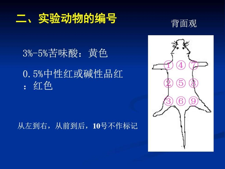 实验动物的基本操作和家兔急性手术.ppt.ppt_第2页