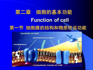 中国医科大学生理学021细胞的基本功能.ppt