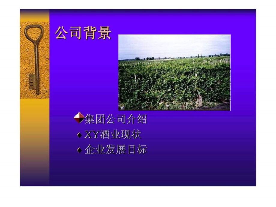 市场营销案例讨论xy酒业分销变革.ppt_第2页