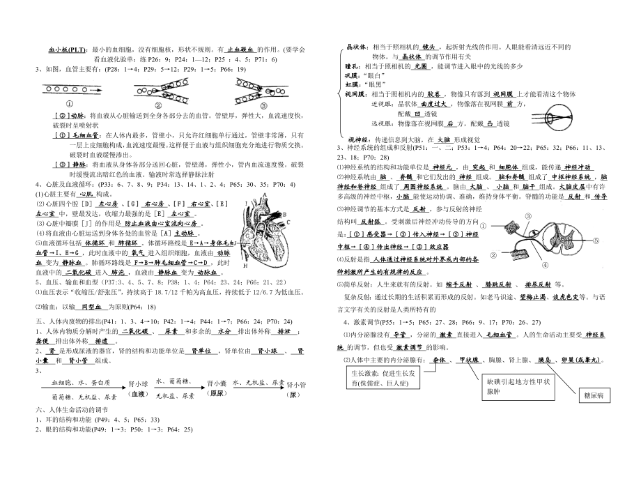 七年级生物复习提纲(生物圈中的人).doc_第2页