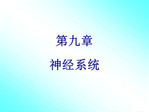 第九章神经系统一.ppt