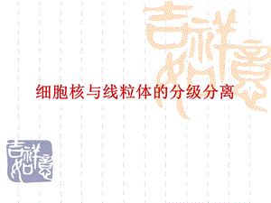 6细胞核和线粒体的分离和观察.ppt