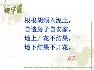 落花生教学课件.ppt