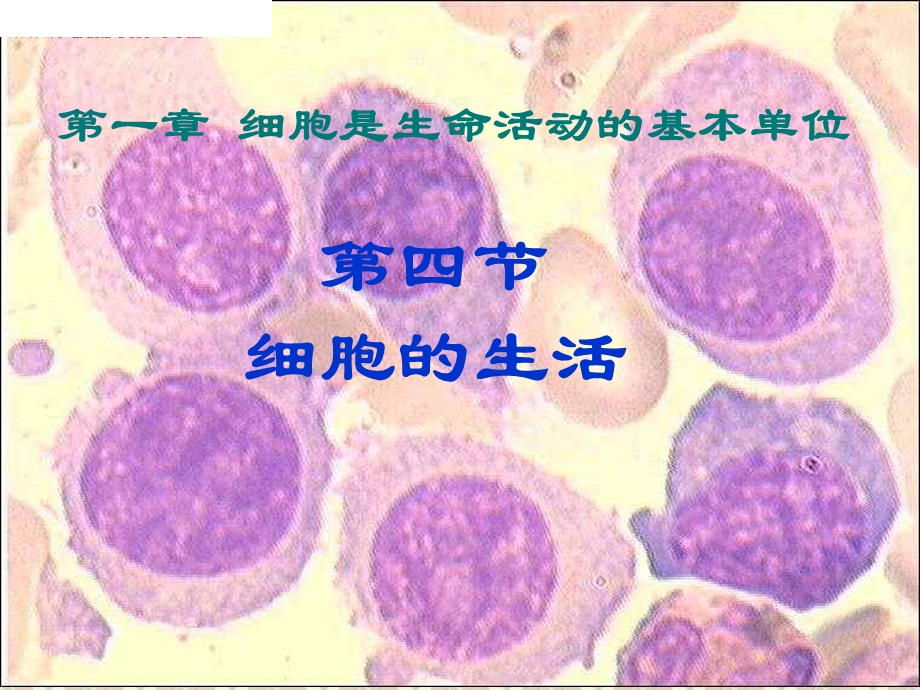 第四节细胞的生活精品教育.ppt_第3页