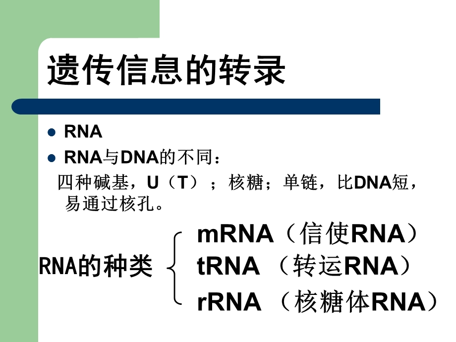 转录和翻译1.ppt_第3页