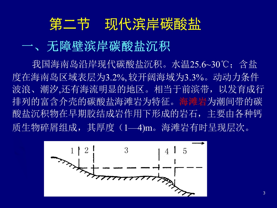 25现代海洋碳酸盐环境.ppt_第3页