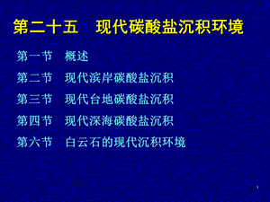 25现代海洋碳酸盐环境.ppt