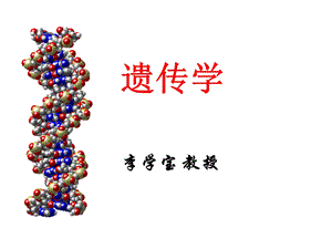 Genetics2遗传的细胞学基础.ppt