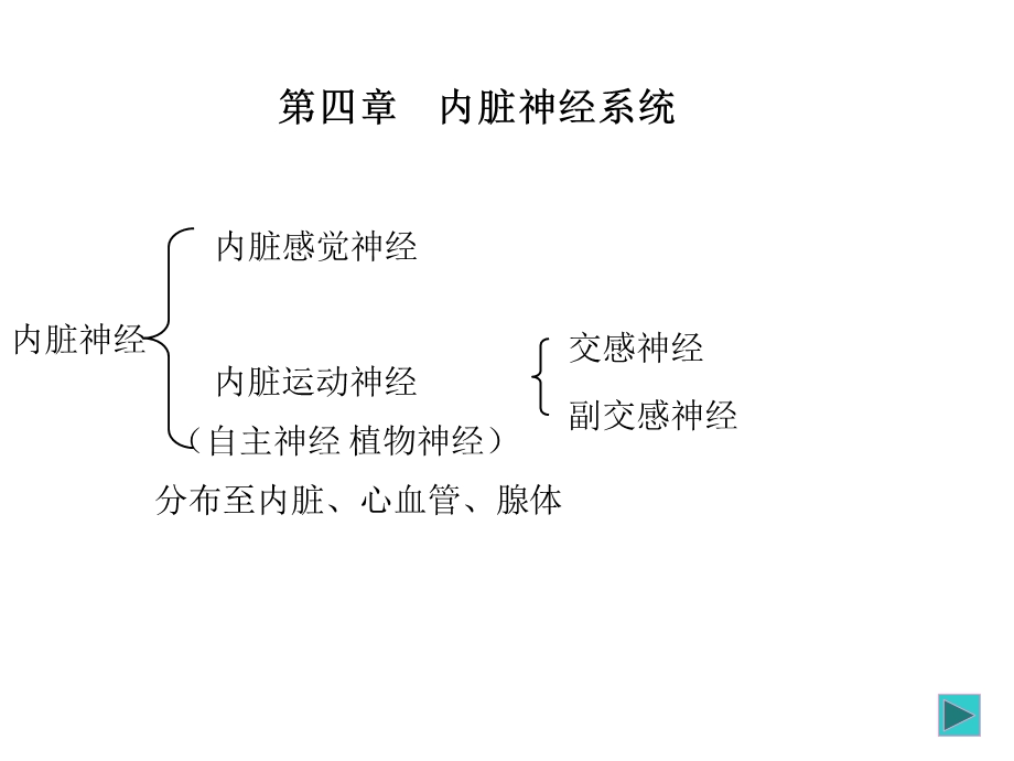 第四章内脏神经系统.ppt_第1页