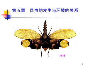 6昆虫生态学.ppt