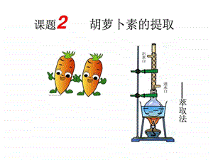 胡萝卜素的提取定稿.ppt.ppt