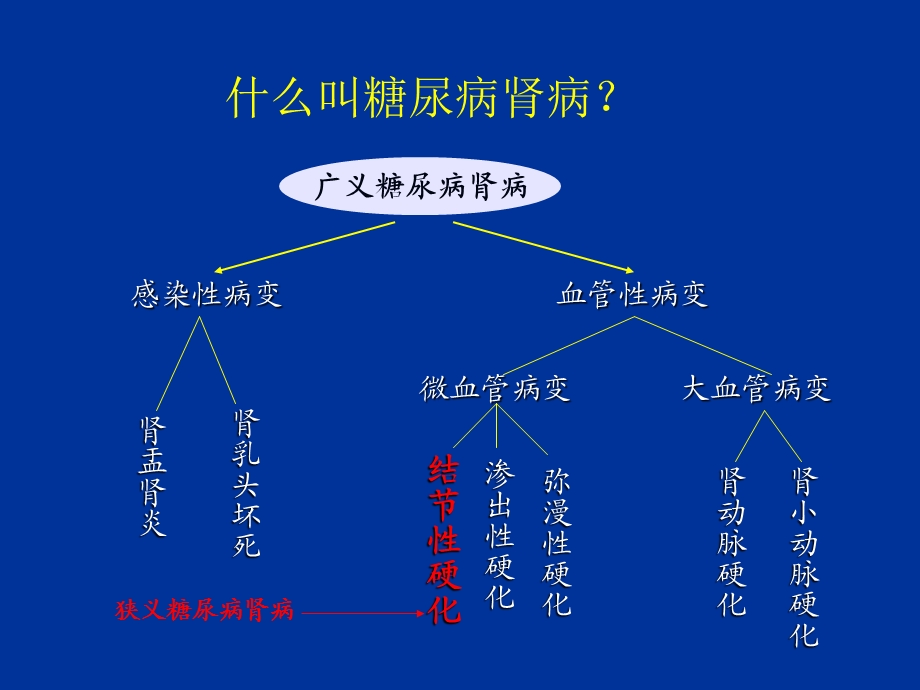 糖尿病肾病病理作业.ppt_第3页