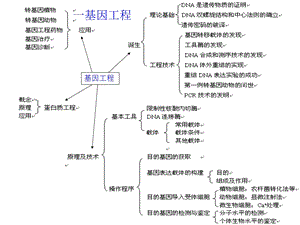 选修三复习网路wg.ppt