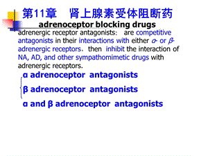 第11章肾上腺素受体阻断药.ppt