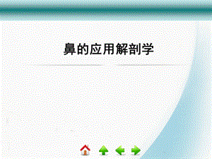 鼻解剖学及生理学.ppt