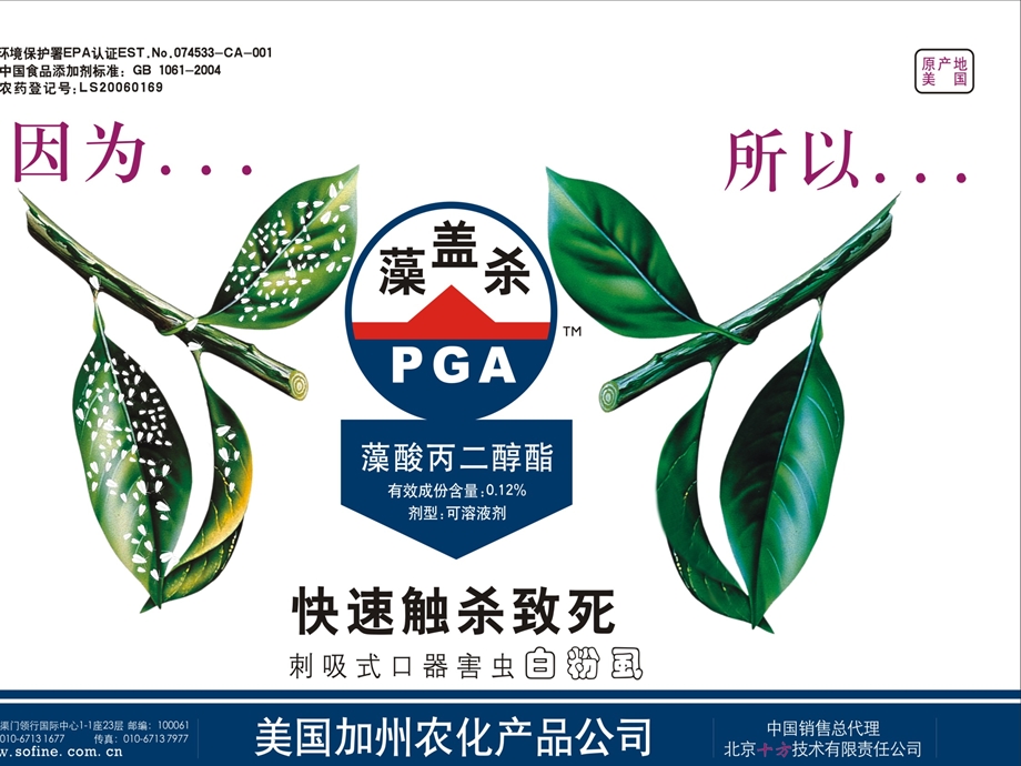 白粉虱特效药藻盖杀(0.12藻酸丙二醇酯).ppt_第2页