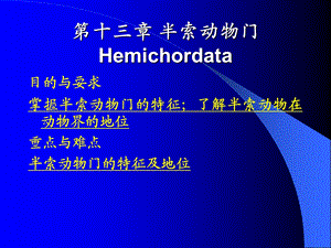 第十三章半索动物门.ppt