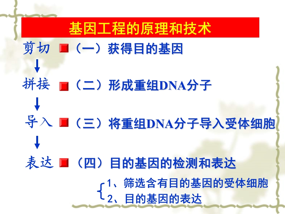 基因工程的原理和技术.ppt_第3页