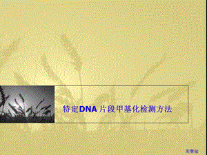 特定DNA片段甲基化检测方法.ppt