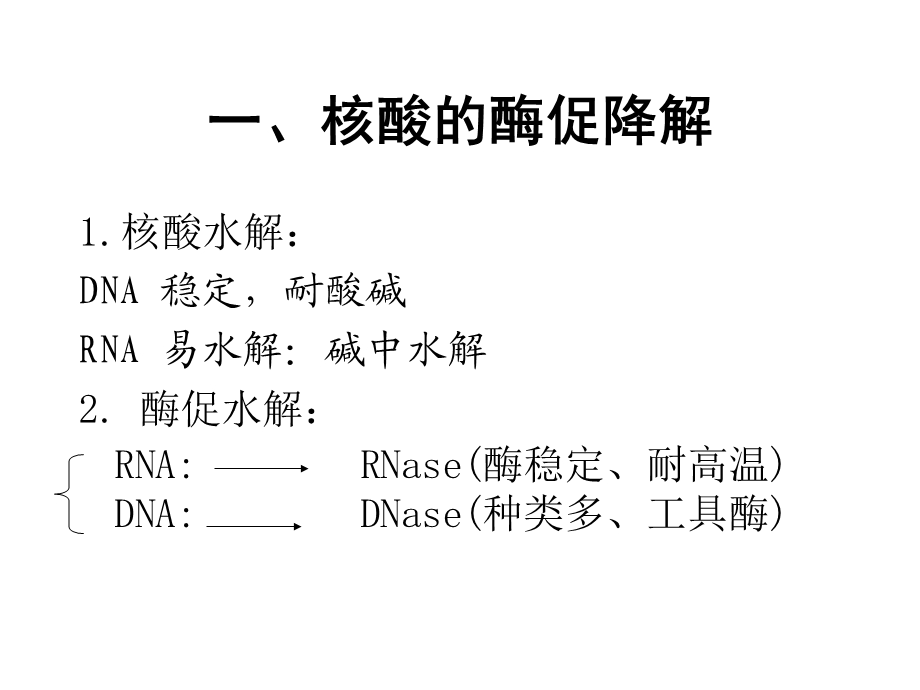 第八章核酸降解.ppt_第2页