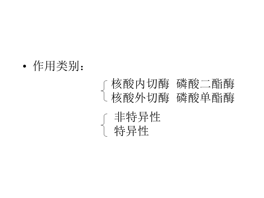 第八章核酸降解.ppt_第3页