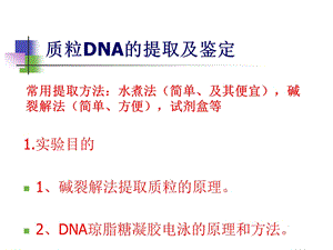 质粒DNA的提取及鉴定.ppt