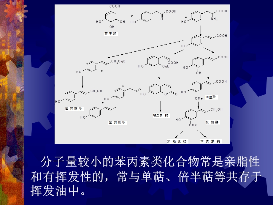 第三章苯丙素类1.ppt_第2页