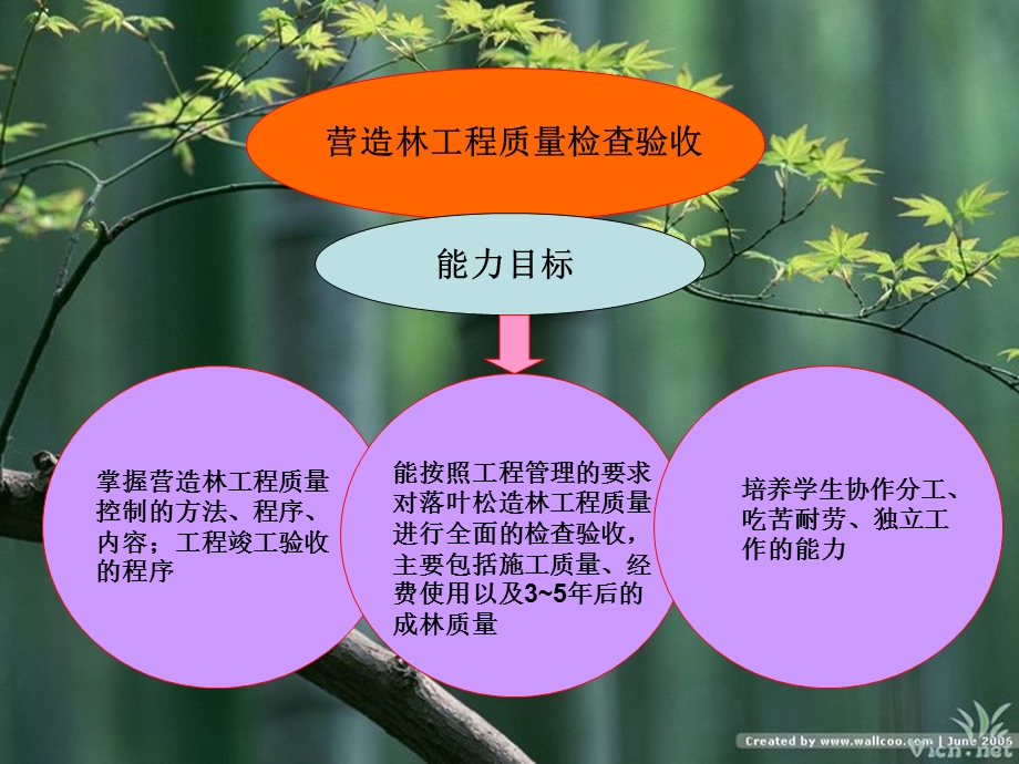 精品营造林工程质量检查验收69.ppt_第1页