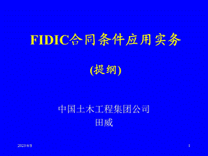 FIDIC合同条件应用实务.ppt