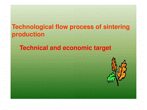 烧结技术英文版.ppt.ppt