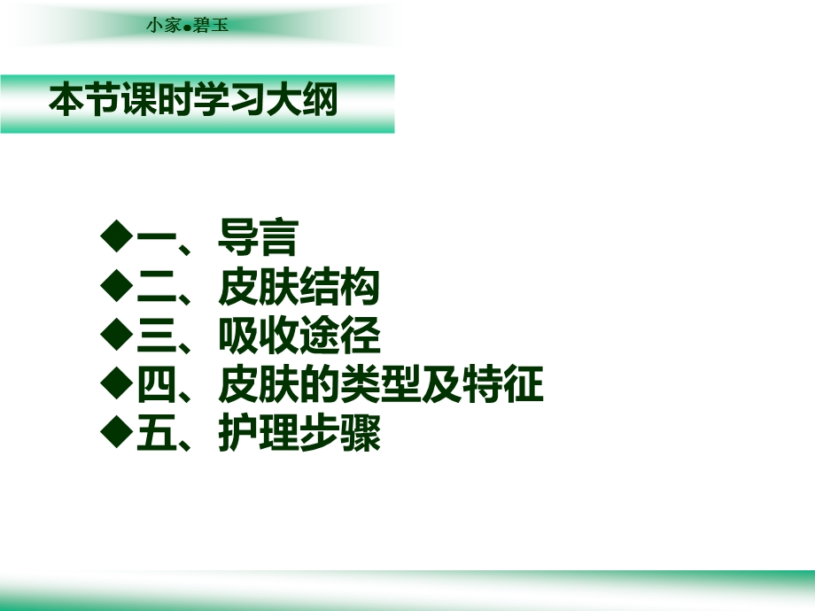 皮肤护理BH培训部.ppt_第2页