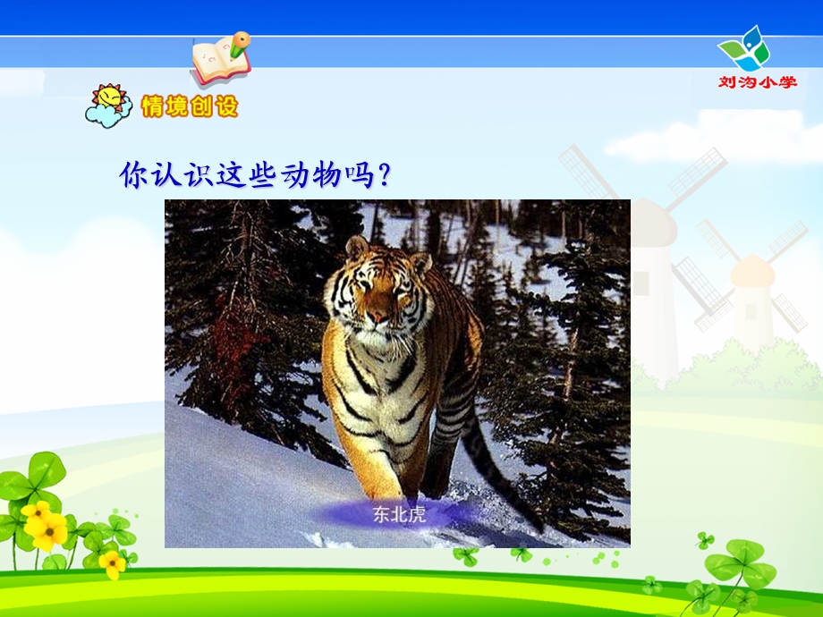 你认识这些动物吗.ppt_第2页