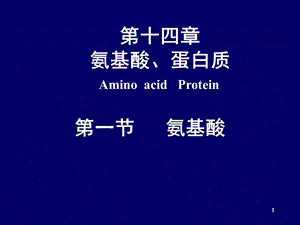 氨基酸蛋白质核酸.ppt