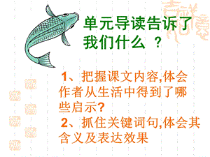 钓鱼的启示ppt 精品教育.ppt