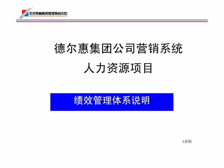 德尔惠集团公司营销系统人力资源项目绩效管理体系说明.ppt_第1页