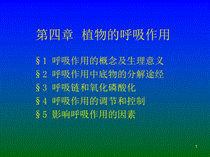 第四章植物的呼吸作用.ppt