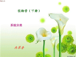 植物学引言.ppt