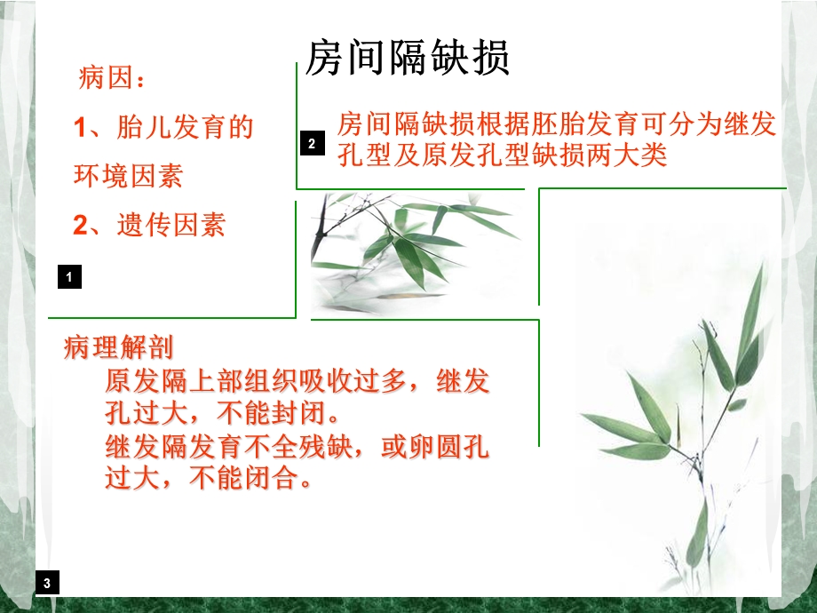 房间隔缺损与二尖瓣狭窄的鉴别诊断.ppt_第3页