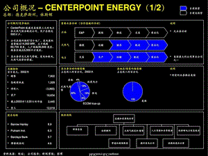 北美地区电力公司材料.ppt