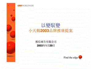 小天鹅2003品牌推广提案图文.ppt.ppt