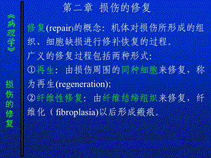 病理损伤的修复.ppt