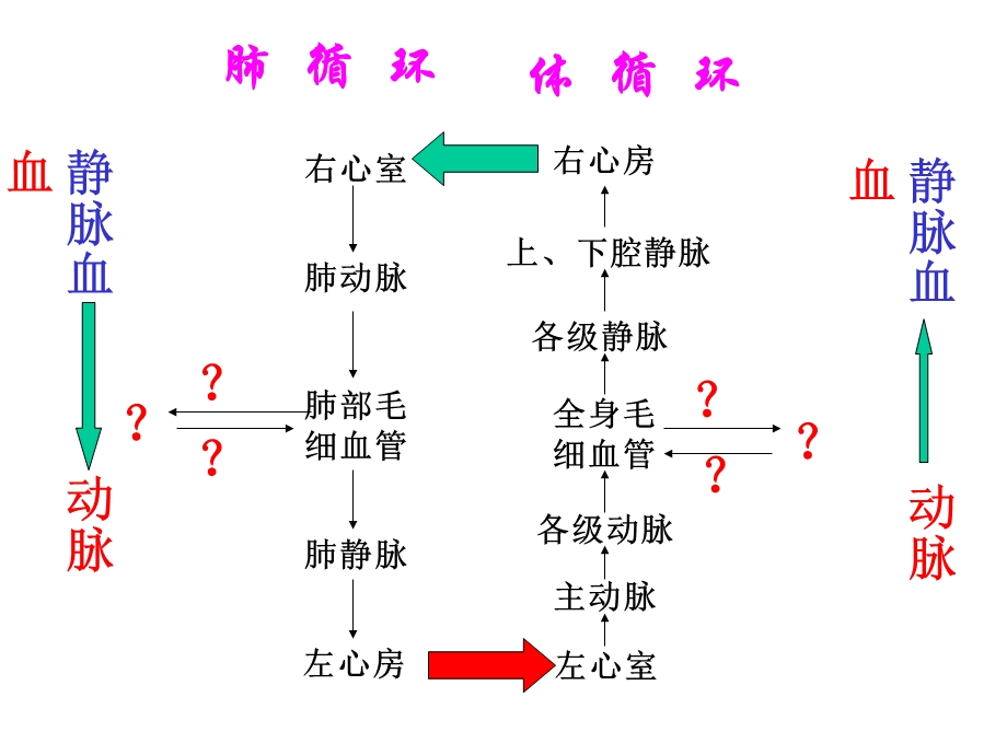 说出体循环和肺循环的途径以及其血液成分的变化.ppt_第2页