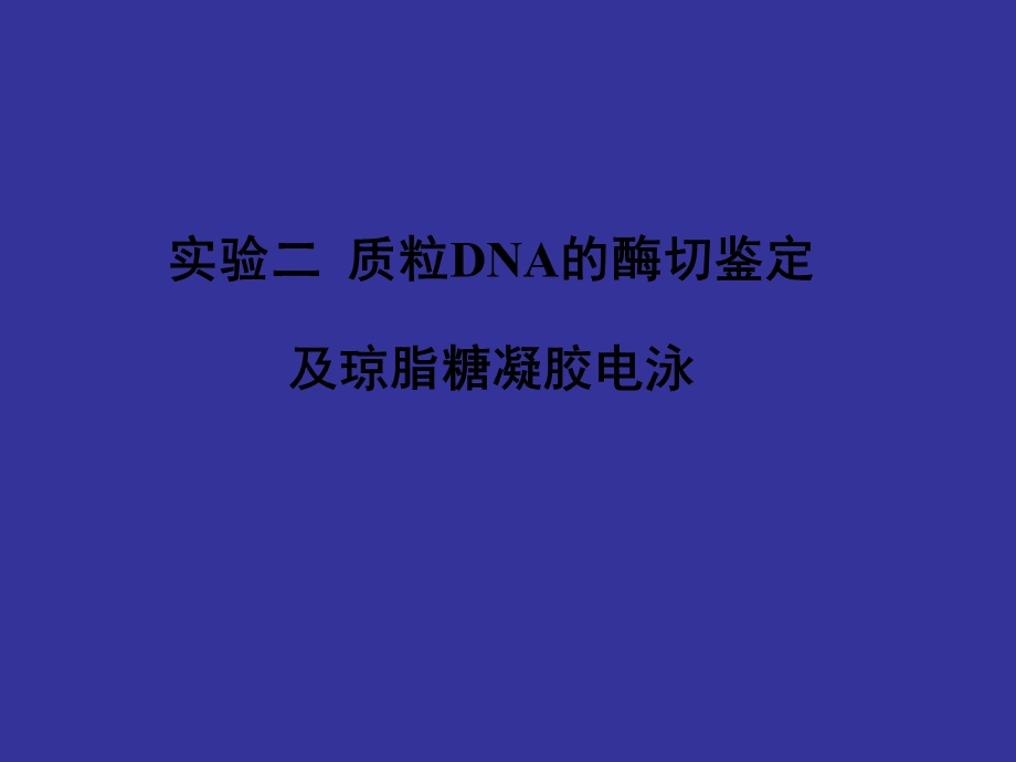 4实验二质粒DNA的酶切鉴定.ppt_第1页