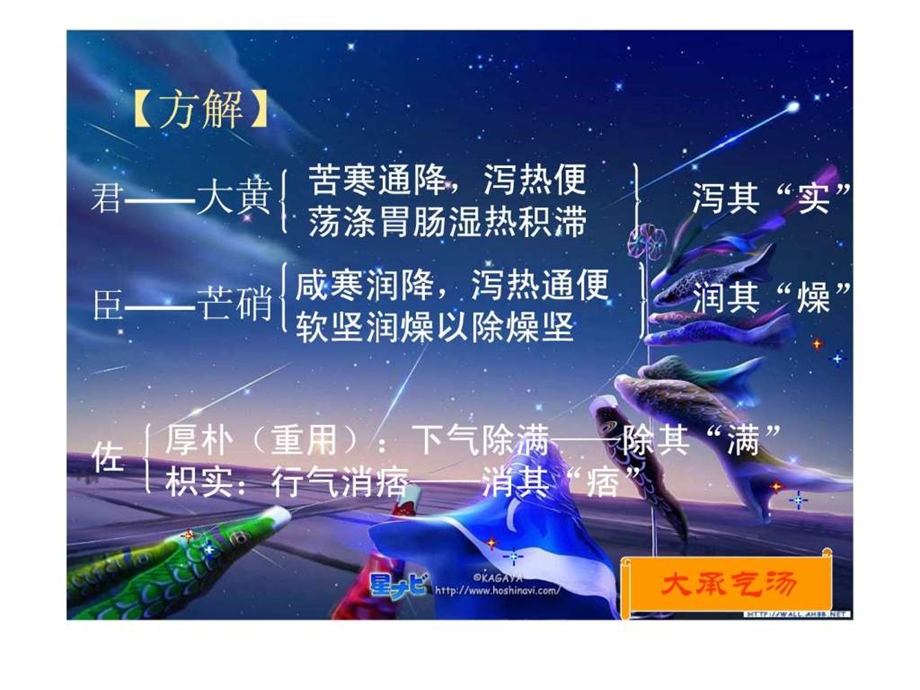 大承气汤图文.ppt.ppt_第3页