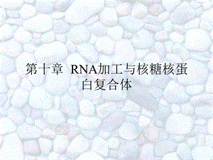 第十章RNA加工与核糖核蛋白复合体.ppt