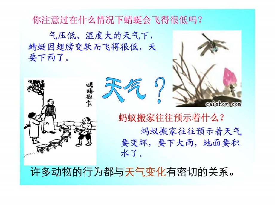 第二节天气和气温.ppt.ppt_第2页