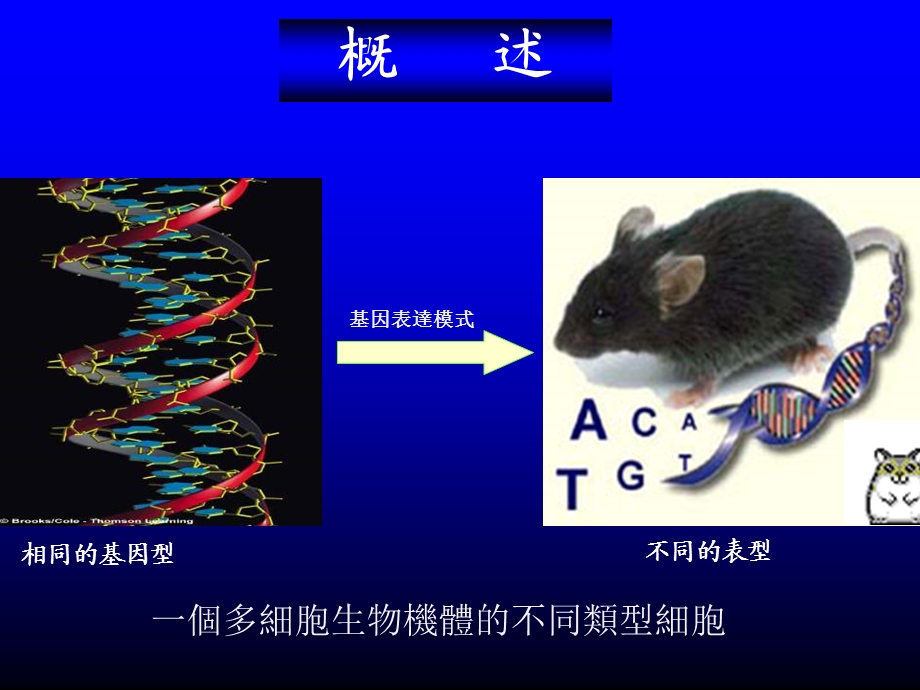 傅继梁同济大学医学与生命科学部.ppt_第3页