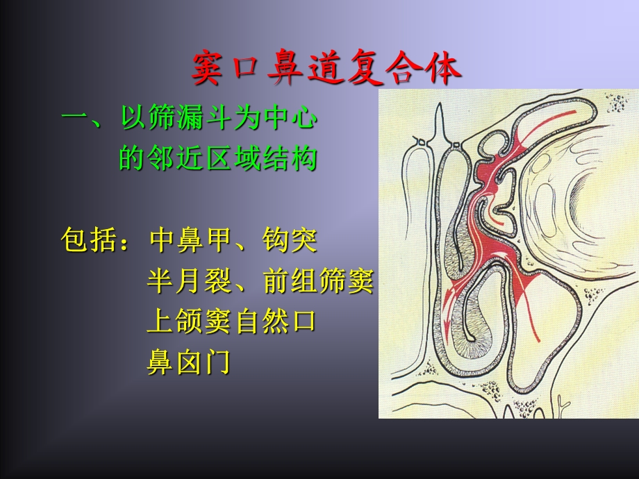 鼻腔鼻窦解剖变异.ppt_第3页