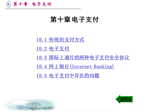 第十章电子支付.ppt
