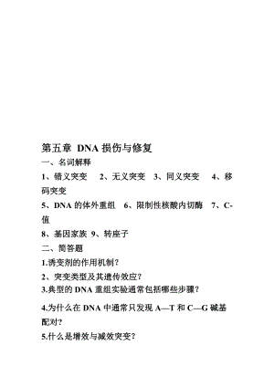 第五章DNA的损伤与修复.doc